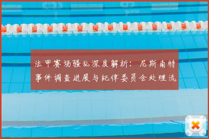 法甲赛场骚乱深度解析：尼斯南特事件调查进展与纪律委员会处理流程